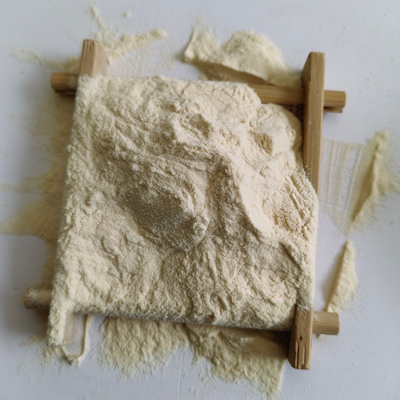 Industrial Protein Powder