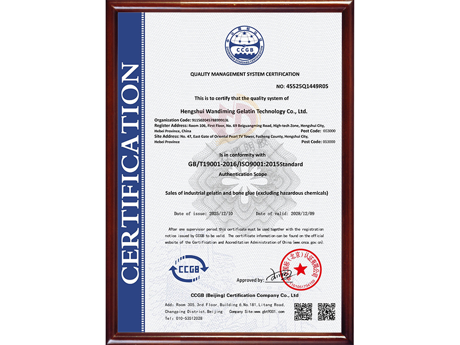Quality Management System Certification Certificate (English Version)